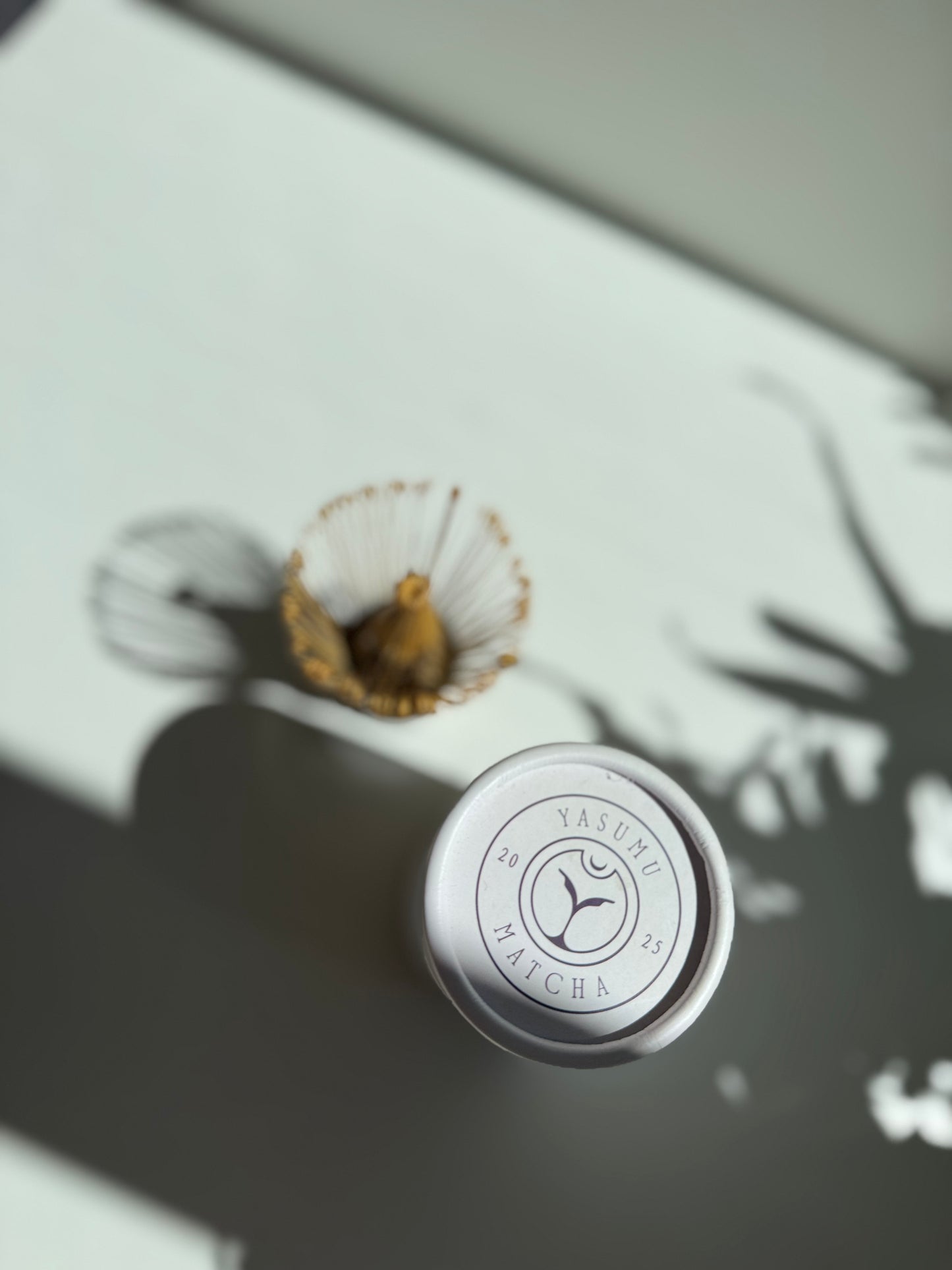 Handcrafted bamboo matcha whisk (chasen) by Yasumu, shown with premium cylindrical box